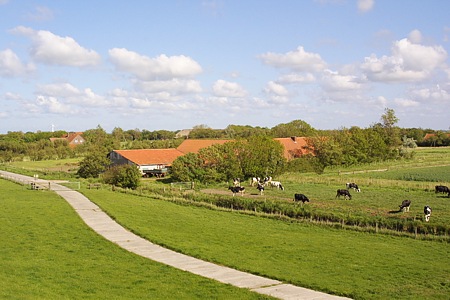 Foto aus der Fotogruppe 