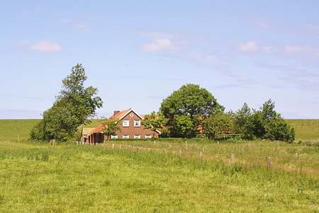 Foto aus der Fotogruppe 