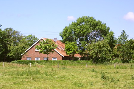 Foto aus der Fotogruppe 