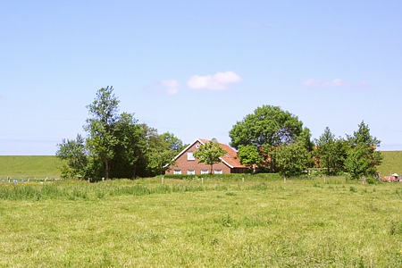 Foto aus der Fotogruppe 