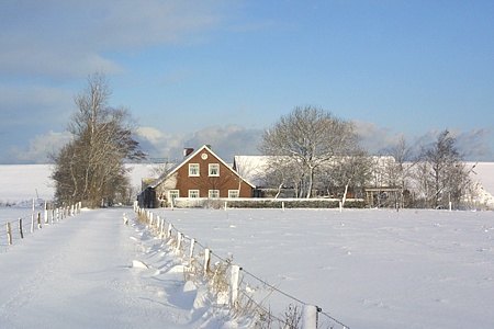 Foto aus der Fotogruppe 