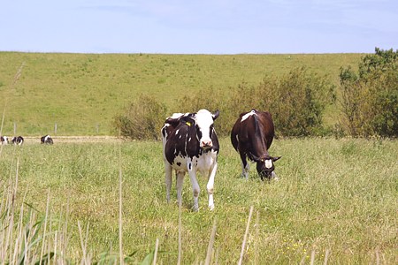 Foto aus der Fotogruppe 