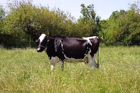 Foto aus der Fotogruppe 