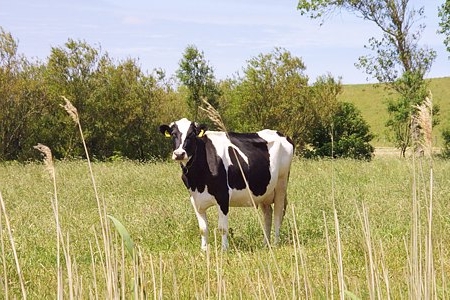 Foto aus der Fotogruppe 