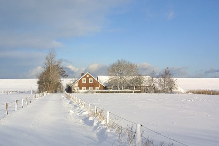 Foto aus der Fotogruppe 